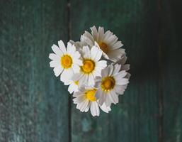 Flowers on wooden Background photo