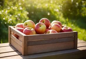 AI generated Apples in a wooden box on a sunny garden background photo
