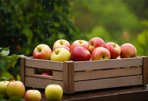 AI generated Apple fruit in a wooden box on a rainy garden photo