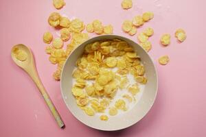 Spilled breakfast cereal on floor photo