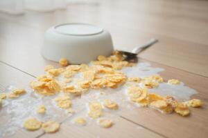 Spilled breakfast cereal on floor photo