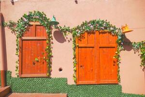 A symmetrically designed building with two wooden doors with ivy and flowers photo