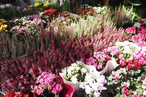 flower shop in istanbul, flower display for selling at street shop , photo