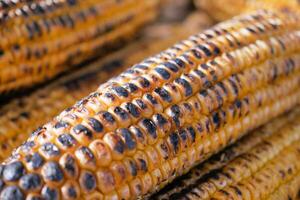 Close up of Grilled corn background photo