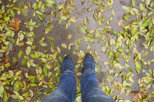 Individual standing in a pile of leaves on grassy groundcover photo