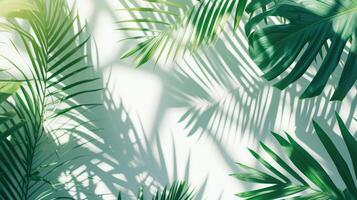 AI generated palm leaves with space on white background photo