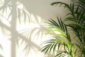 AI generated palm leaves with space on white background photo
