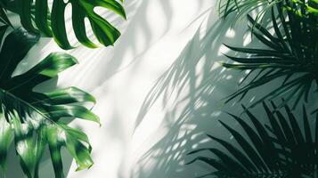 AI generated palm leaves with space on white background photo