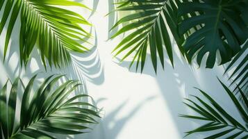 AI generated palm leaves with space on white background photo