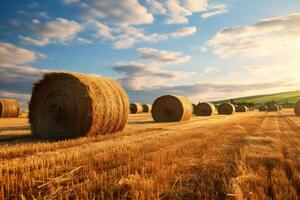 AI generated serene hay field with beautiful sky photo