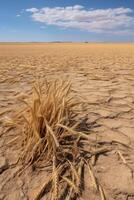 AI generated dry wheat field drought photo