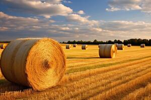 AI generated serene hay field with beautiful sky photo