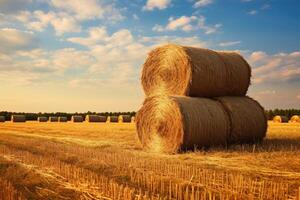 AI generated serene hay field with beautiful sky photo