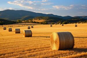 AI generated serene hay field with beautiful sky photo