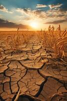 AI generated dry wheat field drought photo