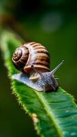 AI generated Snail crawls along leaf, showcasing intricate details in macro view Vertical Mobile Wallpaper photo