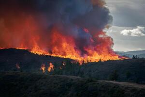 ai generado bosque fuego se extiende salvajemente, envuelve arboles en feroz resplandor foto