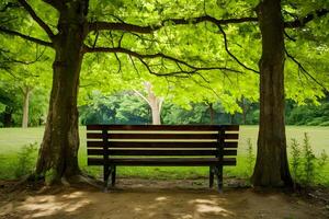 ai generado vacío de madera banco invita relajación en verano parque ajuste foto