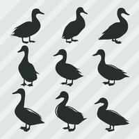 Duck vector silhouettes bundle, Set of various pose duck collection