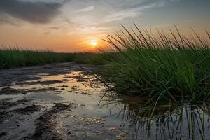 AI generated Creative composition of grass and mud in shallow water photo