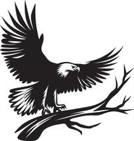 Eagle sitting on tree branch, Eagle Vector illustration