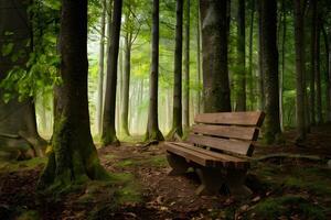 AI generated Lonely wooden bench invites contemplation in a serene setting photo