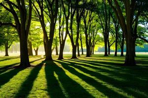 AI generated TowerinG trees cast long shadows on vast green park field photo
