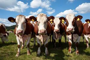 AI generated Group of cows poses charmingly for the camera photo