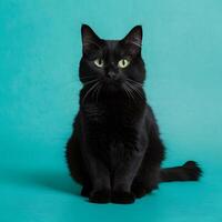 AI generated Cute black cat strikes a charming pose, capturing hearts For Social Media Post Size photo