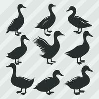 Duck vector silhouettes bundle, Set of various pose duck collection