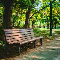 ai generado marrón de madera banco en parque en soleado día para social medios de comunicación enviar Talla foto