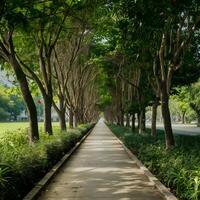 AI generated Sidewalk in Bangkok park offers a serene escape amidst greenery For Social Media Post Size photo