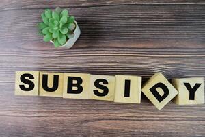 Concept of The wooden Cubes with the word Subsidy on wooden background. photo