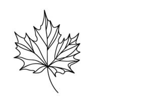 AI generated Continuous one black line drawing maple leaf icon outline doodle vector illustration