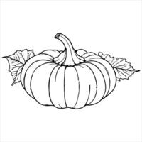 ai generado continuo uno negro línea dibujo de calabaza Víspera de Todos los Santos otoño cosecha contorno bosquejo garabatear para colorante vector en blanco antecedentes