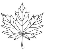 AI generated Continuous one black line drawing maple leaf icon outline doodle vector illustration