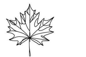 AI generated Continuous one black line drawing maple leaf icon outline doodle vector illustration