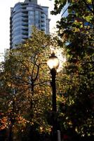 Lamp, high rise buildings, and trees in downtown Vancouver, Canada photo