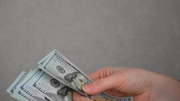 kvinna händer innehav dollar sedlar på en grå bakgrund. video