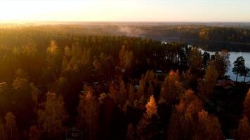 lever du soleil forêt laps de temps dans Suède par drone video