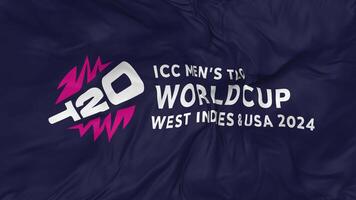 icc Uomini t20 mondo tazza ovest indie e Stati Uniti d'America 2024 bandiere senza soluzione di continuità looping sfondo, loop urto struttura stoffa agitando lento movimento, 3d interpretazione video