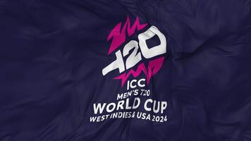 icc Herren t20 Welt Tasse Westen indies und USA 2024 Flaggen nahtlos Schleifen Hintergrund, geloopt stoßen Textur Stoff winken schleppend Bewegung, 3d Rendern video