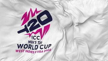 icc Uomini t20 mondo tazza ovest indie e Stati Uniti d'America 2024 bandiere senza soluzione di continuità looping sfondo, loop urto struttura stoffa agitando lento movimento, 3d interpretazione video