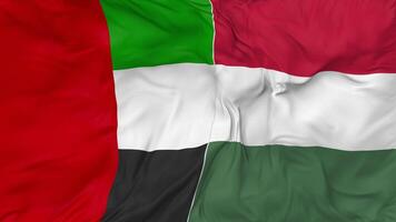 United Arab Emirates and Hungary Flags Together Seamless Looping Background, Looped Bump Texture Cloth Waving Slow Motion, 3D Rendering video