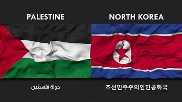 Palestine and North Korea Flag Waving Together Seamless Looping Wall Background, Flag Country Name in English and Local National Language, 3D Rendering video