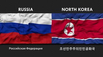 Rusia y norte Corea bandera ondulación juntos sin costura bucle pared fondo, bandera país nombre en Inglés y local nacional idioma, 3d representación video