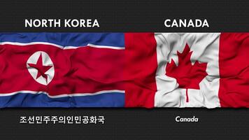 Canadá y norte Corea bandera ondulación juntos sin costura bucle pared fondo, bandera país nombre en Inglés y local nacional idioma, 3d representación video