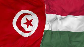 Tunisia and Hungary Flags Together Seamless Looping Background, Looped Bump Texture Cloth Waving Slow Motion, 3D Rendering video