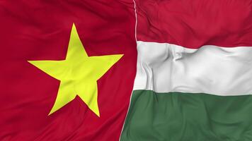 Vietnam and Hungary Flags Together Seamless Looping Background, Looped Bump Texture Cloth Waving Slow Motion, 3D Rendering video