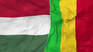 Mali and Hungary Flags Together Seamless Looping Background, Looped Bump Texture Cloth Waving Slow Motion, 3D Rendering video
